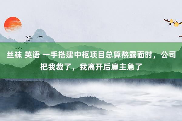 丝袜 英语 一手搭建中枢项目总算熬露面时，公司把我裁了，我离开后雇主急了