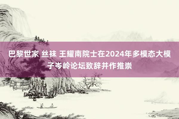 巴黎世家 丝袜 王耀南院士在2024年多模态大模子岑岭论坛致辞并作推崇