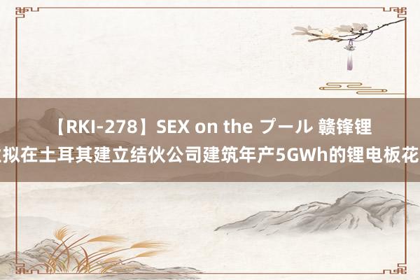 【RKI-278】SEX on the プール 赣锋锂业拟在土耳其建立结伙公司建筑年产5GWh的锂电板花式