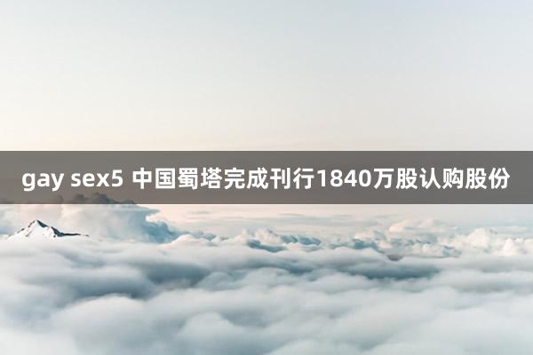 gay sex5 中国蜀塔完成刊行1840万股认购股份