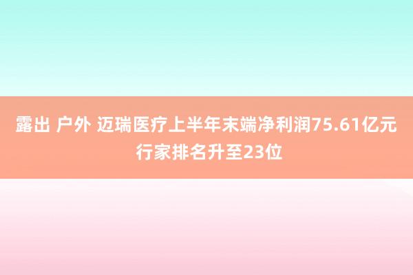 露出 户外 迈瑞医疗上半年末端净利润75.61亿元 行家排名升至23位