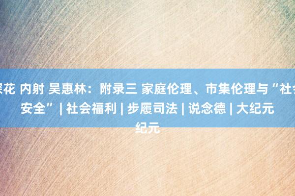 探花 内射 吴惠林：附录三 家庭伦理、市集伦理与“社会安全” | 社会福利 | 步履司法 | 说念德 | 大纪元