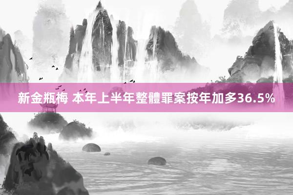 新金瓶梅 本年上半年整體罪案按年加多36.5%