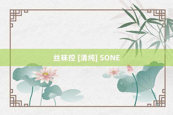 丝袜控 [清纯] SONE