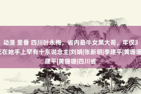 动漫 里番 四川叶永梅，省内最牛女黑大哥，年仅36岁，死在她手上罕有十东说念主|刘娟|张新明|李建平|黄珊珊|四川省