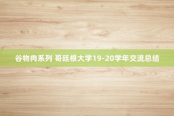 谷物肉系列 哥廷根大学19-20学年交流总结